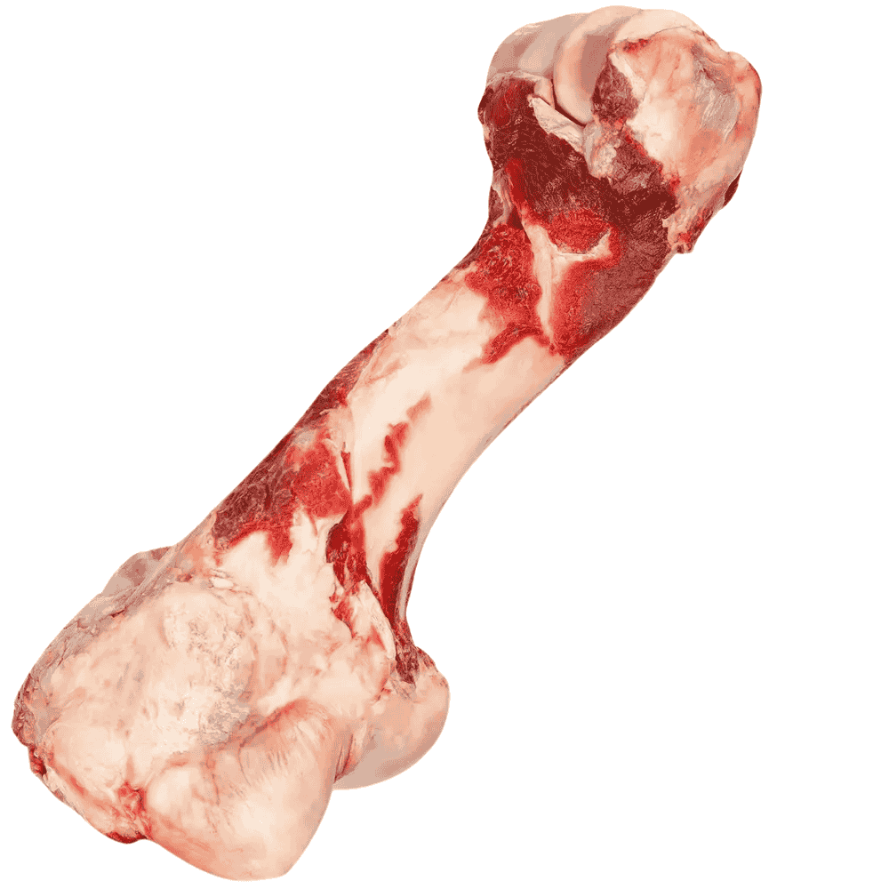 Rinderknochen für Hunde