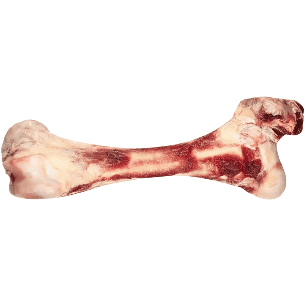 Rinderhüftknochen für Hunde