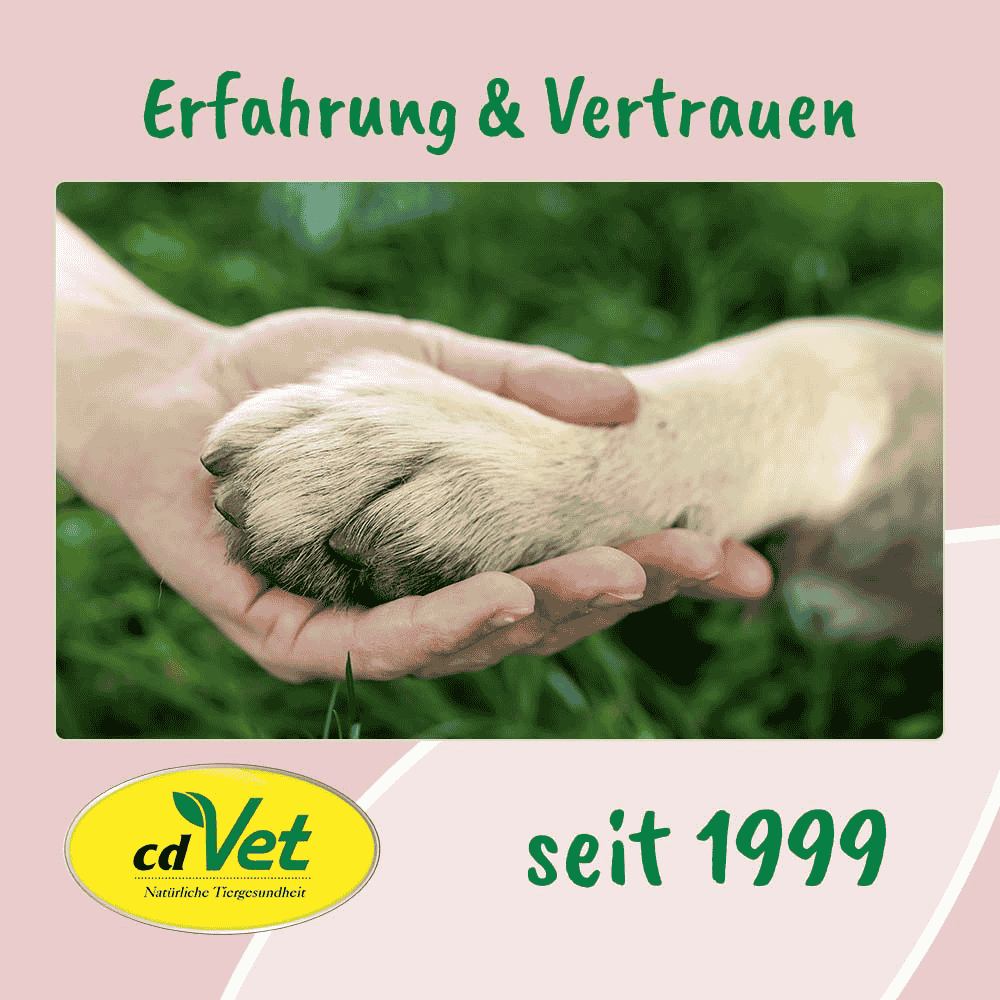 Erfahrung & Vertrauen vom Hersteller seit 1999