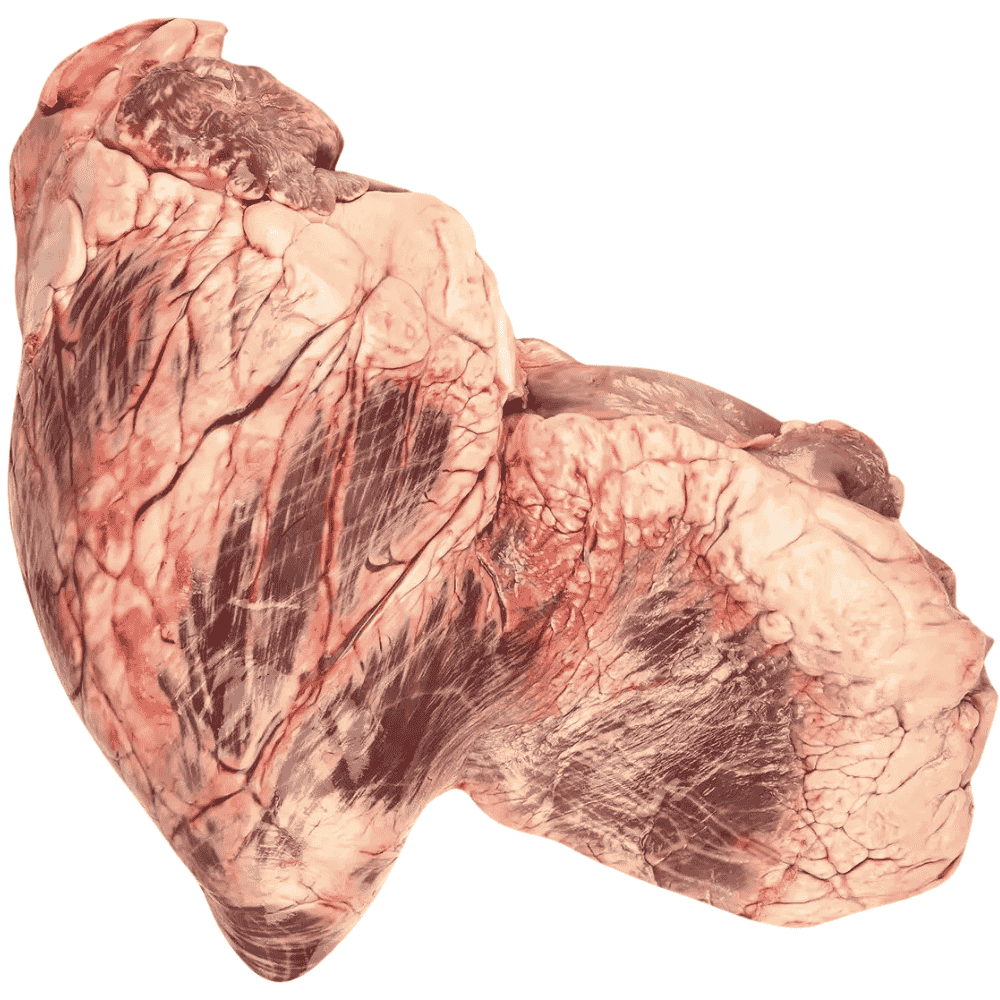 Rinderherz ganz mit Kranz für Hunde in der 2500 g Verpackung 