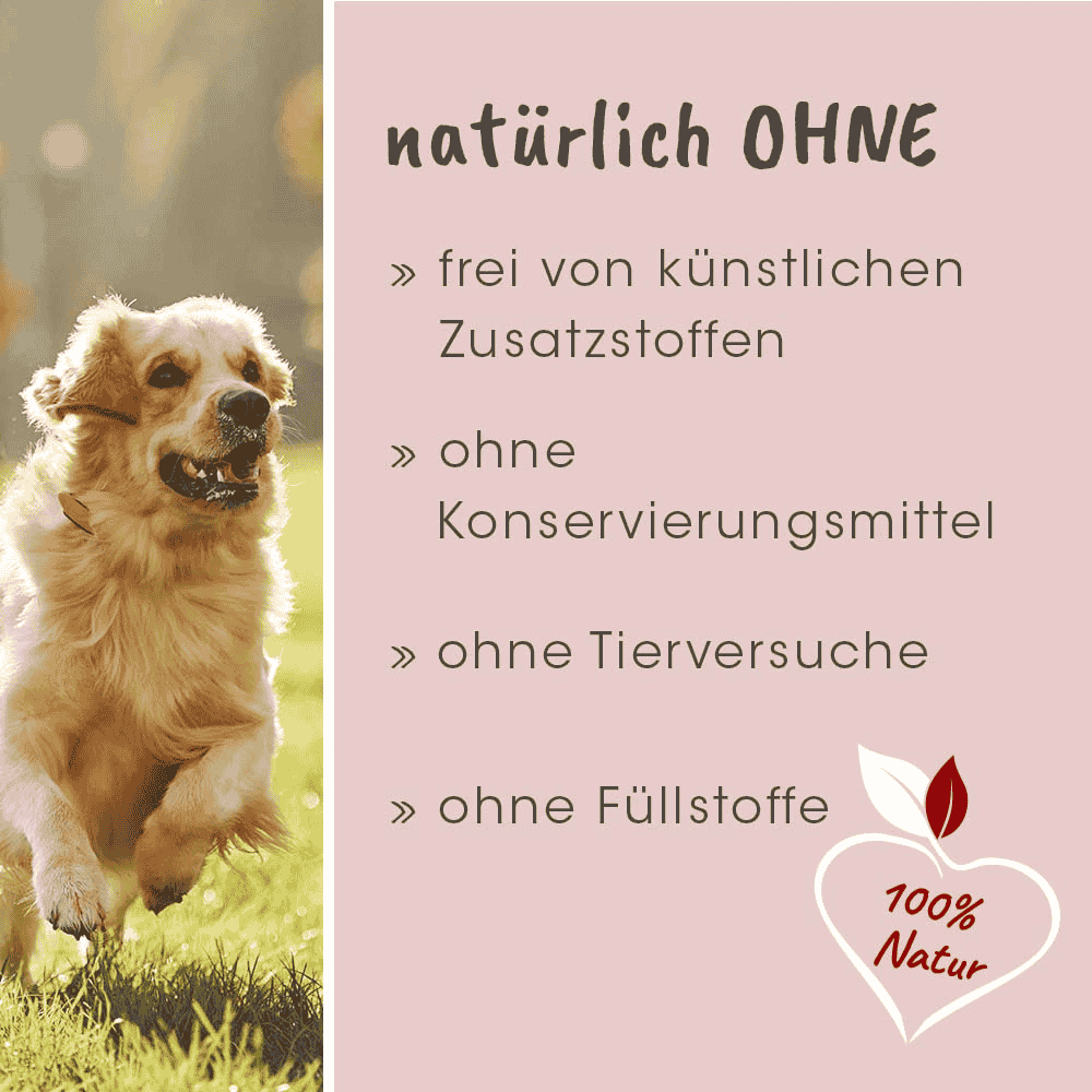 Fit-BARF GemüseMix für Hunde und Katzen ohne künstliche Zusätze